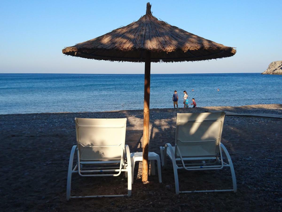 Nikos House Daire Káto Zákros Dış mekan fotoğraf