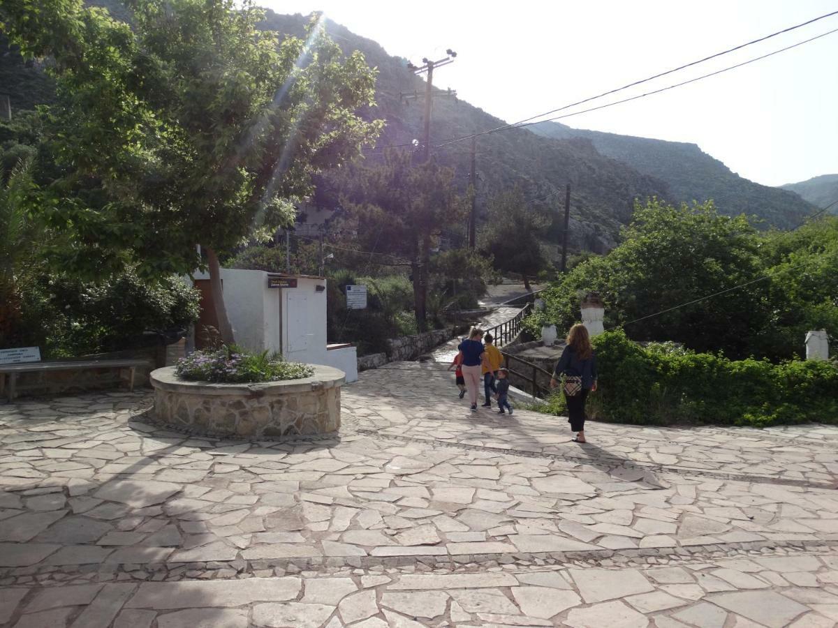 Nikos House Daire Káto Zákros Dış mekan fotoğraf