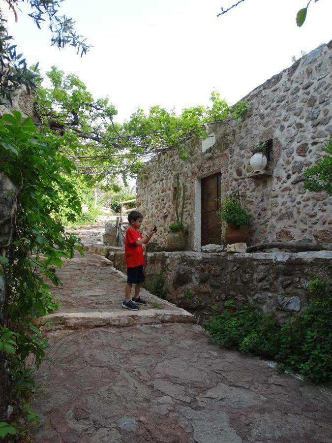 Nikos House Daire Káto Zákros Dış mekan fotoğraf