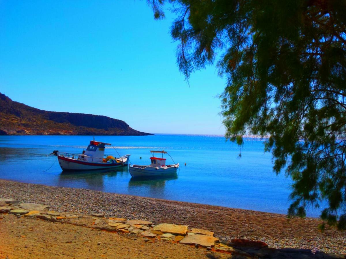 Nikos House Daire Káto Zákros Dış mekan fotoğraf
